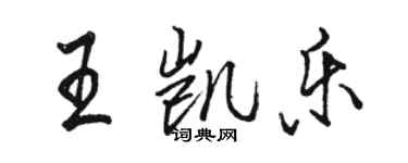 駱恆光王凱樂行書個性簽名怎么寫