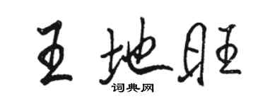 駱恆光王地旺行書個性簽名怎么寫