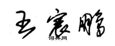 朱錫榮王宸鵬草書個性簽名怎么寫