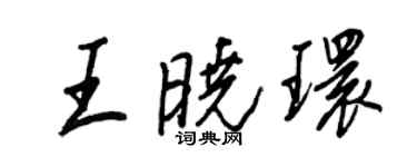 王正良王曉環行書個性簽名怎么寫