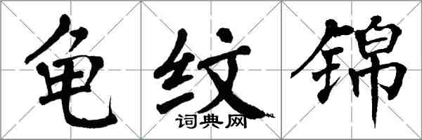 翁闓運龜紋錦楷書怎么寫