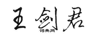 駱恆光王劍君行書個性簽名怎么寫