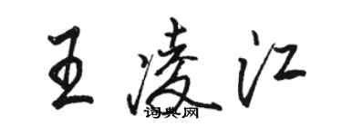 駱恆光王凌江行書個性簽名怎么寫