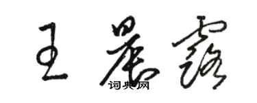 駱恆光王晨露草書個性簽名怎么寫