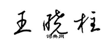 梁錦英王曉柱草書個性簽名怎么寫
