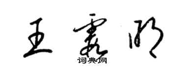 梁錦英王霞明草書個性簽名怎么寫