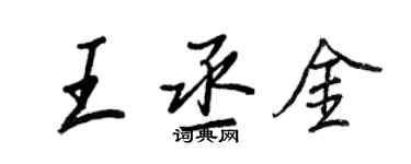 王正良王丞金行書個性簽名怎么寫