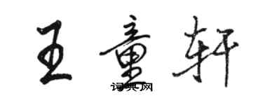 駱恆光王童軒行書個性簽名怎么寫