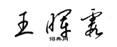 梁錦英王暉霞草書個性簽名怎么寫