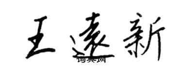 王正良王遠新行書個性簽名怎么寫