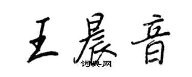王正良王晨音行書個性簽名怎么寫