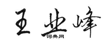 駱恆光王業峰行書個性簽名怎么寫