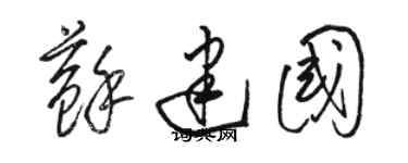 駱恆光蘇建國草書個性簽名怎么寫