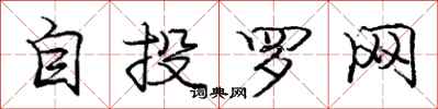 龐中華自投羅網行書怎么寫