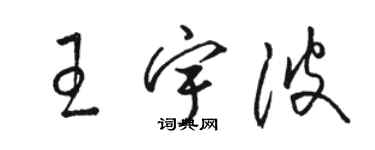 駱恆光王宇波草書個性簽名怎么寫