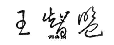 駱恆光王智盟草書個性簽名怎么寫