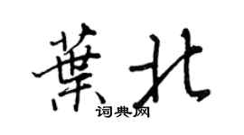 王正良葉北行書個性簽名怎么寫
