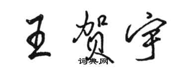 駱恆光王賀宇行書個性簽名怎么寫