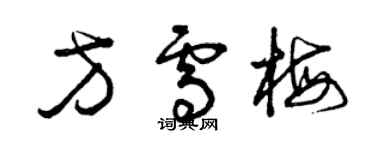 曾慶福方雪梅草書個性簽名怎么寫