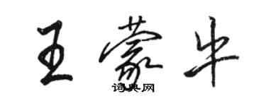 駱恆光王蒙牛行書個性簽名怎么寫