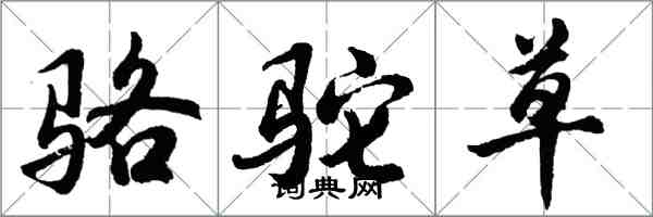 胡問遂駱駝草行書怎么寫