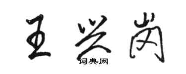 駱恆光王興崗行書個性簽名怎么寫