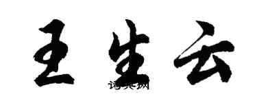 胡問遂王生雲行書個性簽名怎么寫