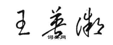 駱恆光王英微草書個性簽名怎么寫