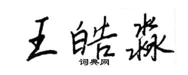 王正良王皓淼行書個性簽名怎么寫