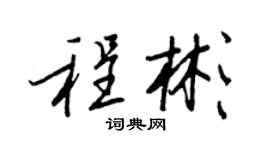 王正良程彬行書個性簽名怎么寫