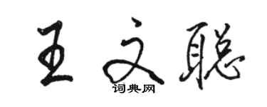 駱恆光王文聰行書個性簽名怎么寫