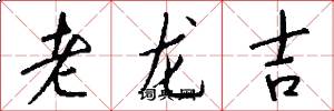 老龍吉怎么寫好看