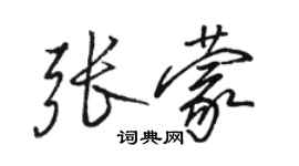 駱恆光張蒙行書個性簽名怎么寫