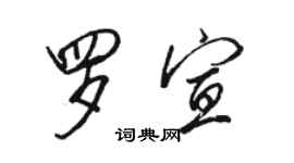 駱恆光羅宣行書個性簽名怎么寫