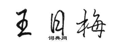 駱恆光王日梅行書個性簽名怎么寫