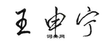 駱恆光王申寧行書個性簽名怎么寫