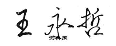 駱恆光王永哲行書個性簽名怎么寫