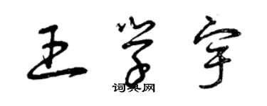 曾慶福王學宇草書個性簽名怎么寫