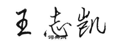 駱恆光王志凱行書個性簽名怎么寫