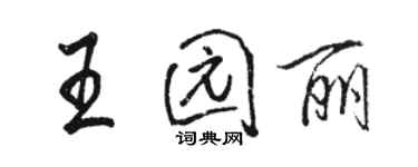 駱恆光王園麗行書個性簽名怎么寫