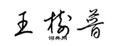 梁錦英王樹普草書個性簽名怎么寫