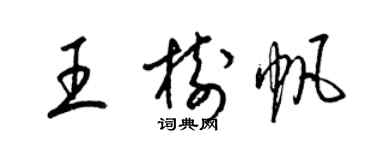 梁錦英王樹帆草書個性簽名怎么寫