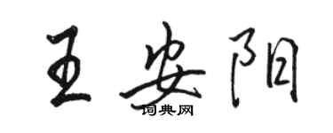 駱恆光王安陽行書個性簽名怎么寫
