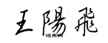 王正良王陽飛行書個性簽名怎么寫