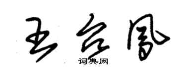 朱錫榮王台鳳草書個性簽名怎么寫