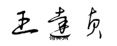 曾慶福王達貞草書個性簽名怎么寫