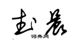 朱錫榮武晨草書個性簽名怎么寫
