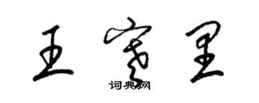 梁錦英王寒里草書個性簽名怎么寫