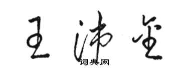 駱恆光王沛金草書個性簽名怎么寫