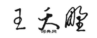 駱恆光王夭野草書個性簽名怎么寫